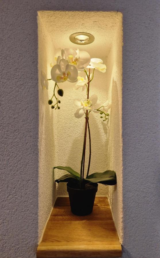 Fewo's Und Apartment's Schoeneck